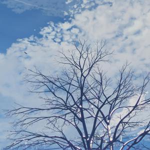 仙帝H污肉一夜没拔
