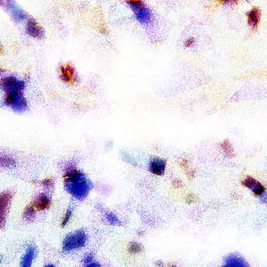 仙帝H污肉一夜没拔
